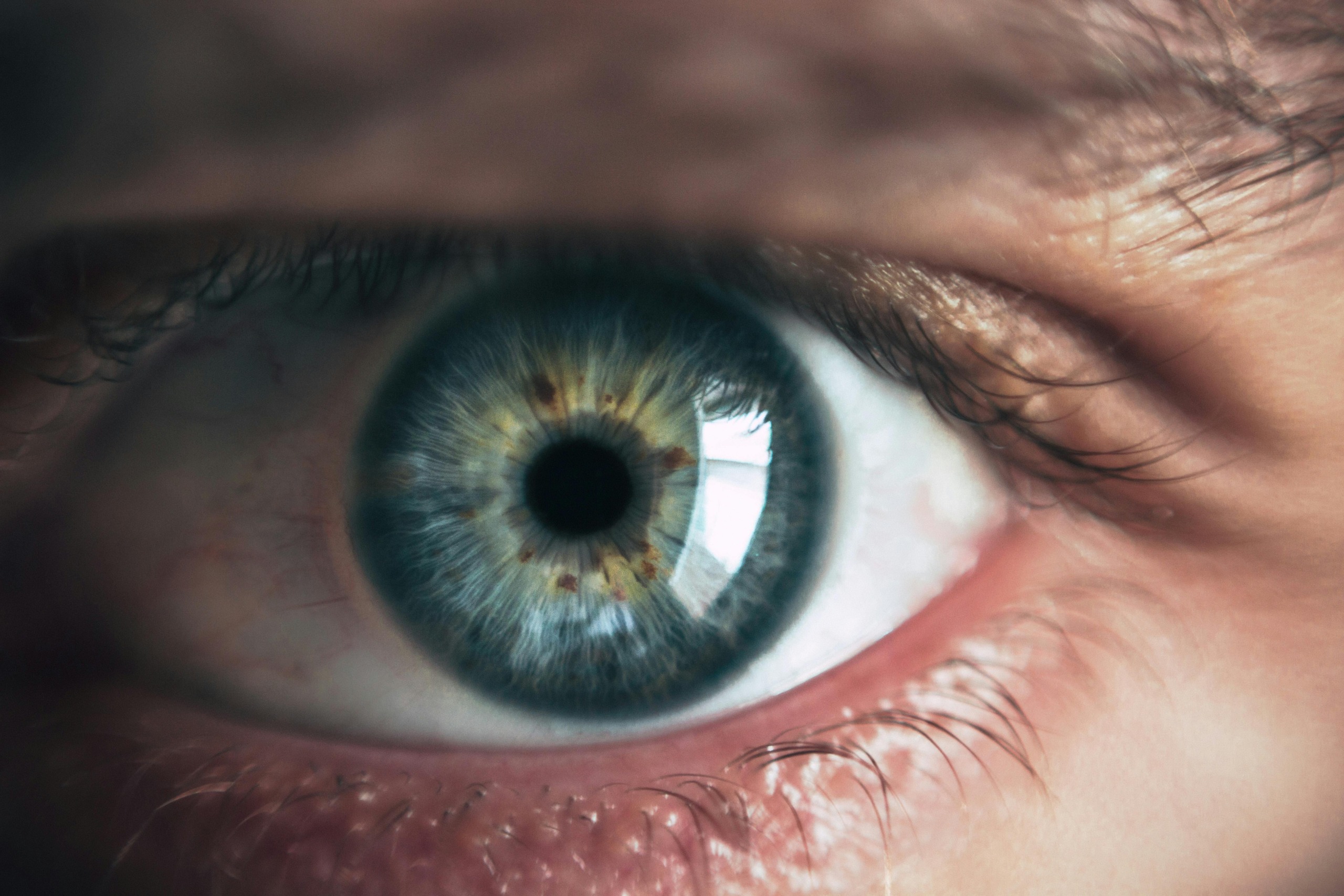 AI identifies which patients need treatment to prevent vision loss